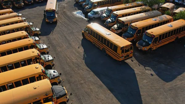 Toronto Ontario Canada September 2022 Row Filled Many School Bus — Foto Stock