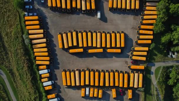 Toronto Ontario Canada September 2022 Yellow School Buses Parking Golden — стоковое видео