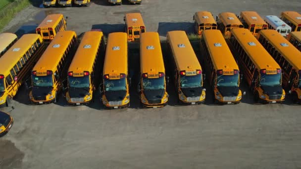 Toronto Ontario Canada September 2022 Parking Full School Buses Waiting — Vídeo de Stock