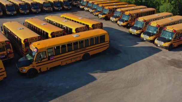 Toronto Ontario Canada September 2022 Yellow School Buses Parking Golden — Vídeo de Stock