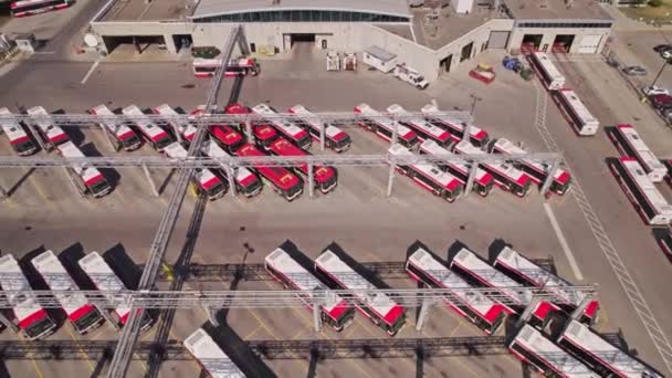 Ônibus Ttc Transporte Público Baía Ônibus Manutenção Instalação Armazenamento Parada — Vídeo de Stock