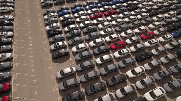 Toronto, Ontario, Kanada - 10 Eylül 2022: Araba deposu veya yeni satılmamış EV arabaların park yeri görüntüsü. Araç üreticisi ve üretici park yeri. Düşük karbon ayak izi EV elektrikli arabalar.