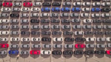 Toronto, Ontario, Kanada - 10 Eylül 2022: yeni hibrid EV otomobiller stok otoparkı. Otomotiv endüstrisinde, imalat fabrikasında, satılık ve taşınacak yepyeni arabaların havası..