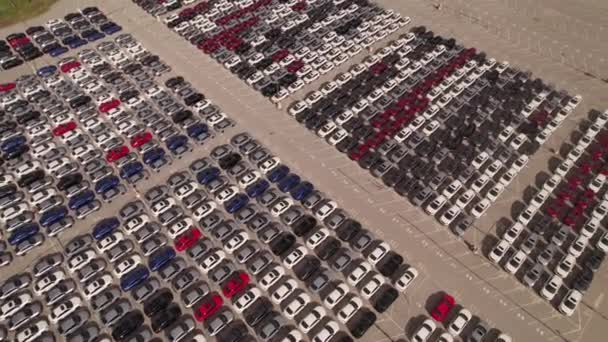 Εναέρια Άποψη Της Αποθήκευσης Αυτοκινήτων Χώρο Στάθμευσης Νέα Απούλητα Αυτοκίνητα — Αρχείο Βίντεο