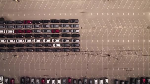 Nouvelles Voitures Hybrides Stock Parking Aerial Parking Voitures Neuves Vendre — Video