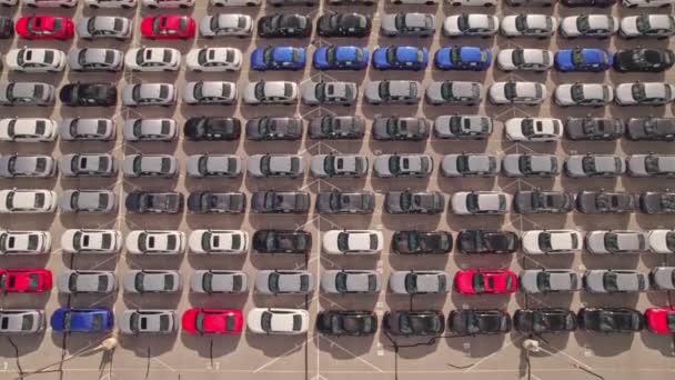トロント オンタリオ州 カナダ 9月10 2022 新しいハイブリッドEv車のストック駐車場 メーカー工場 自動車産業での販売と輸送のためのブランドの新しい車の駐車場の航空 — ストック動画