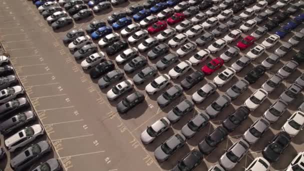 Toronto Ontário Canadá Setembro 2022 Novos Carros Híbridos Stock Parking — Vídeo de Stock