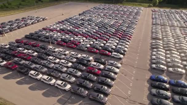 Toronto Ontario Canadá Septiembre 2022 Nuevos Coches Híbridos Stock Parking — Vídeo de stock