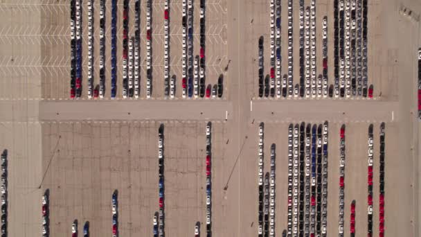 Vista Aérea Armazenamento Carro Estacionamento Novos Carros Não Vendidos Veículo — Vídeo de Stock