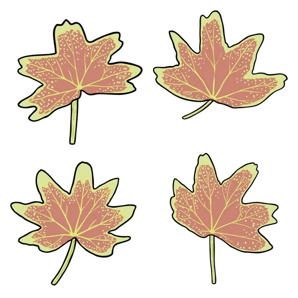 Set Von Pelargoniumblättern Oder Vancouver Centennial Stellar Geranium Pflanzenblättern Sammlung — Stockvektor