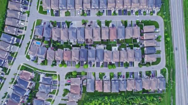 Légi Felvétel Középosztálybeli Lakóházakról Nyári Esténként Amerikai Külváros Környéken Lakóházak — Stock videók