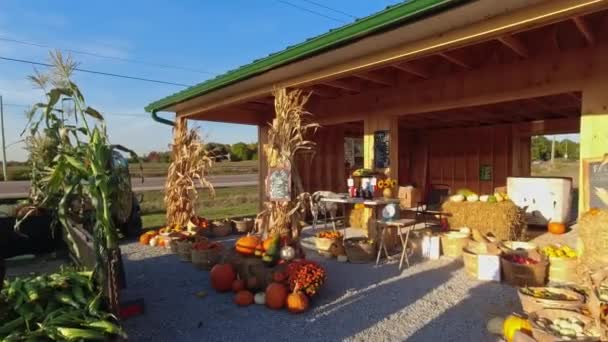 Pumpkin Harvest Thanksgiving Day Season Baskets Decorated Pumpkins Gourds Agritourism — Stock Video