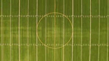 Spor topunun taklidi hızla yükselip tekmelendi. Oyuncular olmadan havadan aşağıya doğru hızla yükselen boş futbol sahası görüntüsü. Futbol sahasında çimenler, beyaz boya çizgileri ve işaretleri var..