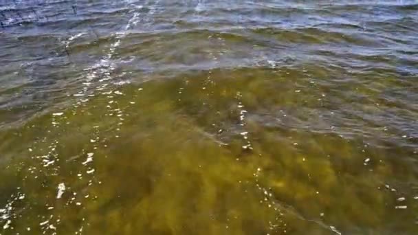 Pike Bay Wasser Lake Huron Ontario Kanada Und Windiger Tag — Stockvideo