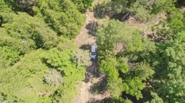 Yeşil orman kırsal kesiminde yazın ağaçlarla kaplı bir arabanın üzerindeki hava aracı. Vahşi doğada tek arabalı Dağ Ormanı Yolu. Macera ve tatil.