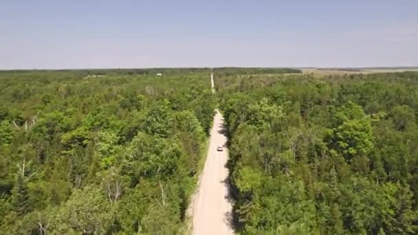 砂利道で緑豊かな田園風景の中を移動する白い家族のSuvハッチバックの空中 道路の両側に緑の平らなアメリカの森林 旅行と休暇 — ストック動画