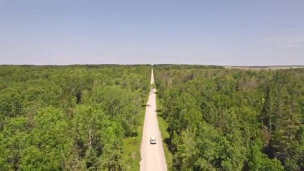 Vista Aérea Estrada Floresta Verão Americana Diretamente Fora Estrada Rural — Vídeo de Stock