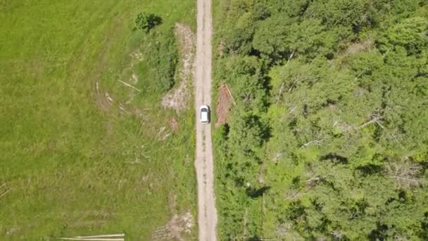 夏の木と緑の森の田舎の田舎で道路をオフに運転車の空中オーバーヘッド 荒野の中で単一の車で山の森の道 冒険と休暇 — ストック動画