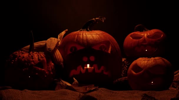 Calabazas Halloween Están Ardiendo Brillando Desde Interior Sobre Fondo Negro — Vídeo de stock