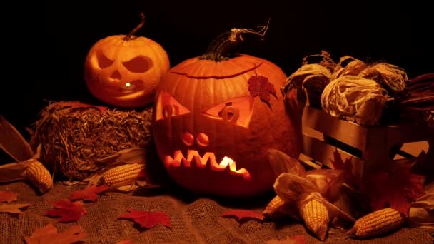 Halloween Thanksgiving Day Achtergrond Met Pompoenen Droge Mais Kammen Schuur — Stockvideo