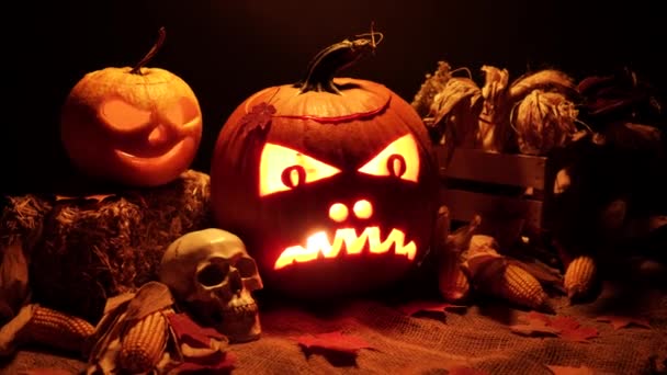 Halloween Calabazas Fondo Negro Halloween Cosecha Establecen Con Malezas Cráneo — Vídeo de stock