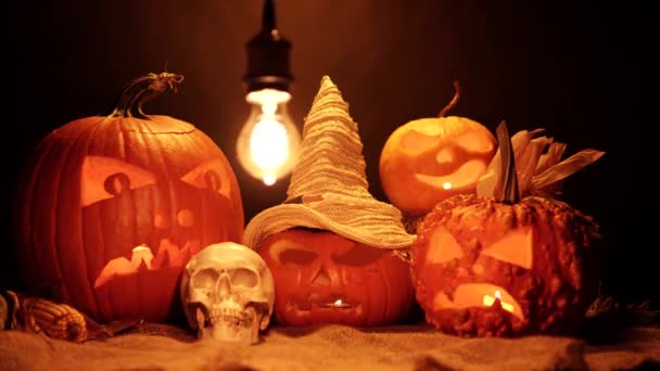 黒を背景にしたカボチャのハロウィン ハロウィーンと収穫は キャッカシや魔女の帽子 雑草や納屋のラップに人間の頭蓋骨で設定します 不気味な悪と不気味な秋の装飾 — ストック動画