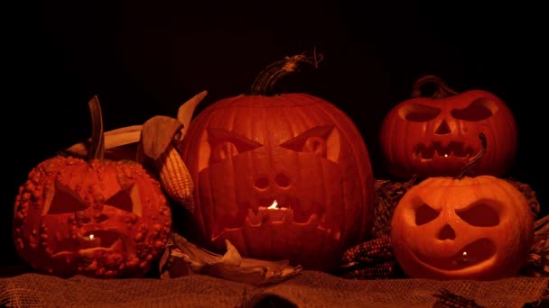 Halloweenpompoenen Oogstset Gelukkige Halloween Avond Met Flikkerende Pompoenen Gezichten Spookachtige — Stockvideo