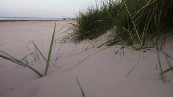 Letět Kamerou Nízko Nad Pískem Fotografování Břehu Zálivu Baltského Moře — Stock video