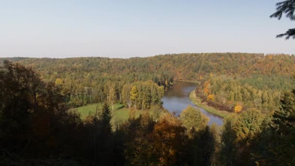 Landscape Forest Grove City Sigulda Latvia Concept Rest Relaxation Vastness — Stock Video