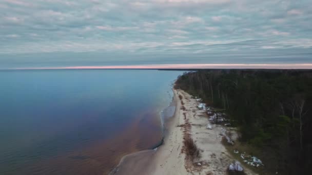 Dron Letící Nad Starou Písečnou Pláží Borovicemi — Stock video