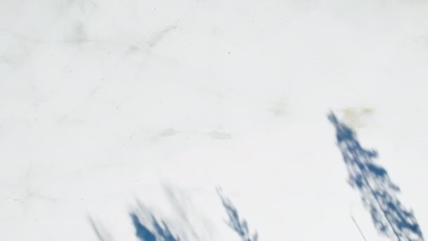 Вид Вершины Латвийского Озера Юрмальском Крае Озеро Ледяное Замерзшее Покрытое — стоковое видео