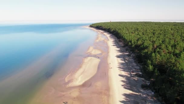 Vista Aérea Área Florestal Costa Golfo Riga Jurmala Lapmezciems Conceito — Vídeo de Stock
