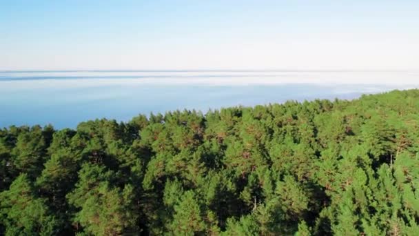 Aerial View Forest Area Shore Gulf Riga Jurmala Lapmezciems Concept — Stockvideo