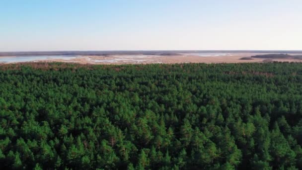 Vista Aérea Área Florestal Costa Golfo Riga Jurmala Lapmezciems Conceito — Vídeo de Stock