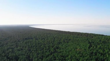 Jurmala Lapmezciems 'deki Riga Körfezi kıyısındaki hava manzaralı orman bölgesi Avrupa' da tatil kavramı