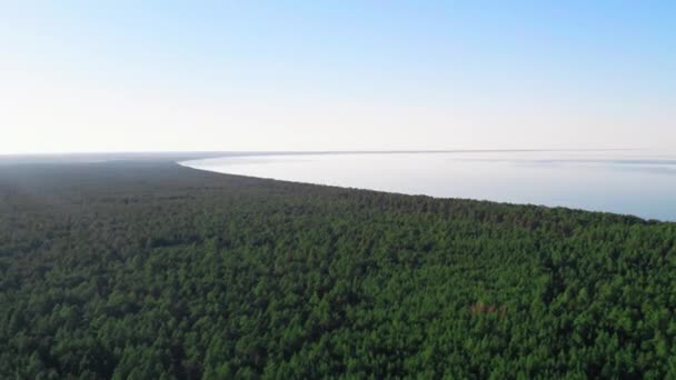 Aerial View Forest Area Shore Gulf Riga Jurmala Lapmezciems Concept — Stockvideo