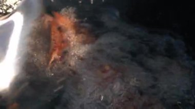 Soğan, et, sebze, patates kızartma sürecinde Özbek milli mutfağından kazan kebap pişirmek ve tüm yemeği pişirmek, dinlenmek ve doğada yemek.