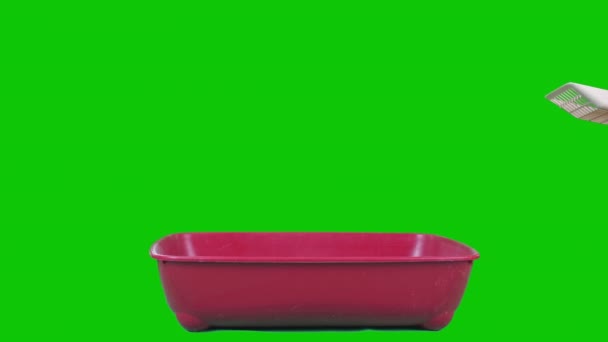 Woman Cleans Cats Toilet Green Screen Concept Cleaning High Quality — Wideo stockowe