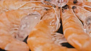 Büyük taze kaynamış karidesler buz limonlarının üzerinde donmuş halde yatıyor. Yüksek kalite 4k görüntü