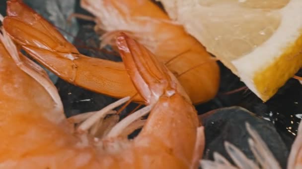 新鲜的大虾仁躺在冰柠檬上新鲜冰冻 高质量的4K镜头 — 图库视频影像