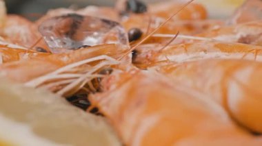 Büyük taze kaynamış karidesler buz limonlarının üzerinde donmuş halde yatıyor. Yüksek kalite 4k görüntü