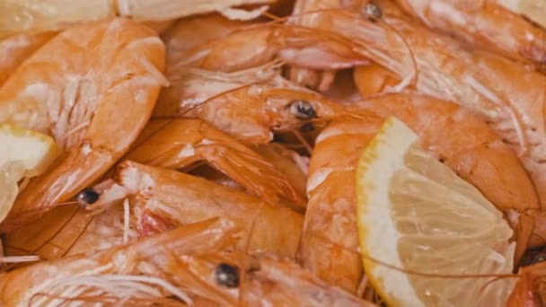 Velké Čerstvé Vařené Krevety Ležet Ledu Citróny Čerstvost Zmrazené Vysoce — Stock video