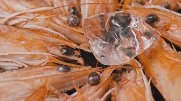 新鲜的大虾仁躺在冰柠檬上新鲜冰冻 高质量的4K镜头 — 图库视频影像