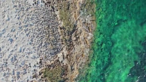 Korfu Adası Ndaki Kıyı Dalgalar Yavaş Hareket Ediyor Yüksek Kalite — Stok video