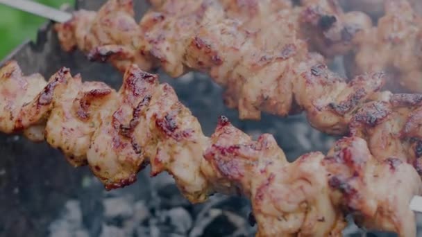 Carne Cerdo Brochetas Cerca Parrilla Imágenes Alta Calidad — Vídeo de stock