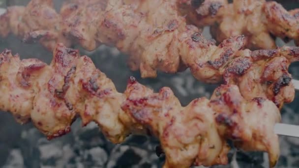 Varkensvlees Spies Close Grill Hoge Kwaliteit Beeldmateriaal — Stockvideo