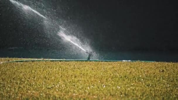 Garden Sprinkler Irrigate Grass Green Lawn Hot Heat 인터넷 데이터베이스 — 비디오