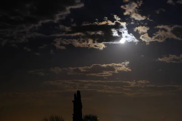 Foto Nocturna Enfoque Selectivo Cielo Grano Luna Llena Luna Detrás —  Fotos de Stock