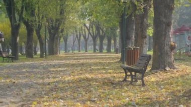 2 kız botanik bahçesinde bisiklete biniyor, genç kız ve sonbahar renkleri, yolda bir sürü kuru yaprak, sonbahar ağaçları, sokak bankları ve yalnızlık konsepti arasında 4k Video ile.