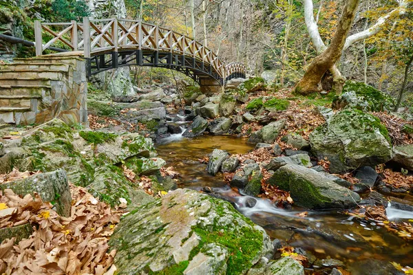 长曝光日照片中的河流和小池塘的流动与桥梁背景和秋天的色彩 木料做的桥 — 图库照片